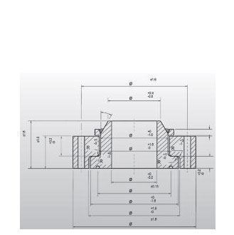 Swivel ring flanges